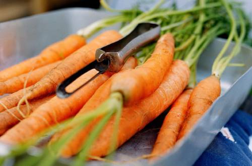 A silver tray loaded with orange carrots, ready to be peeled with a vegetable peeler, which sits on top of the carrots